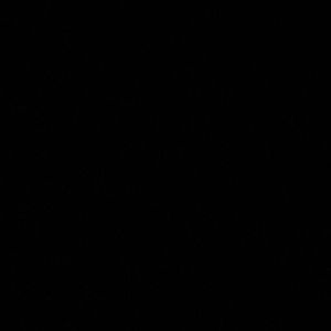 Meet your Posher, Dalton